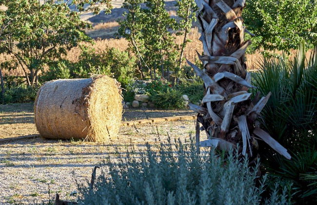 Agriturismo Conte Ruggero - Foto 75