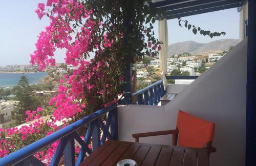 Anna's Studio - Photo 49