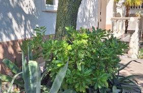 Villa HAUS NIKO - Photo 22