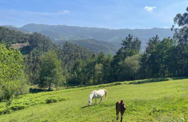 San Bartolomé Etxola - Foto 21