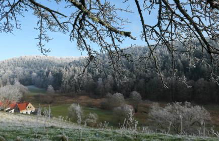 Bullau-bü - Appartment im Grünen - Foto 15