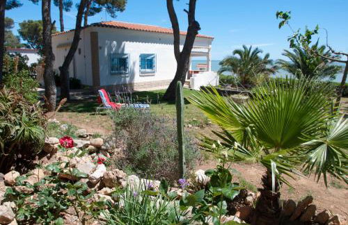 Sargantana Blava - Foto 58