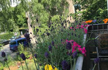 Apartmenthaus Sonnen - Foto 9