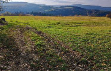 Jabłoniowy Sad Kalwaria Pacławska - Foto 43