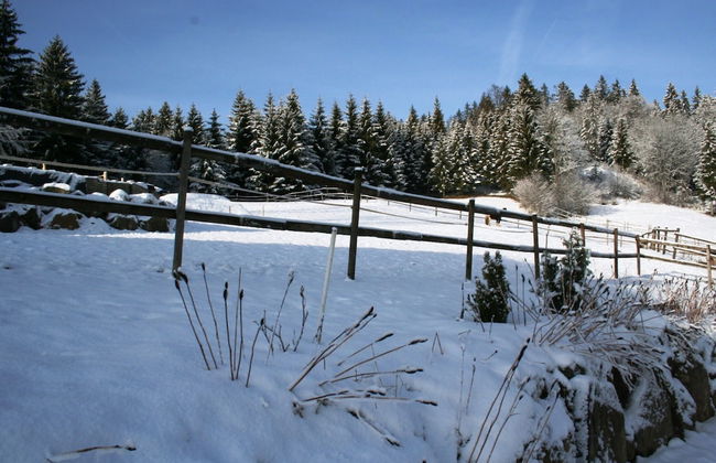 Malerische Erdgeschosswohnung - Foto 33