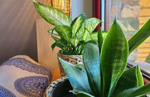 Zakatek Mala-apartamenty nad jeziorem - Foto 22