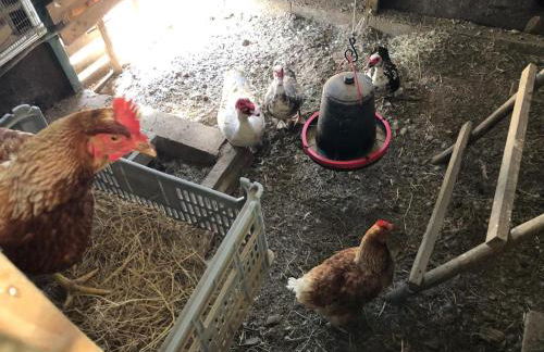 Casa da Anita - Foto 20