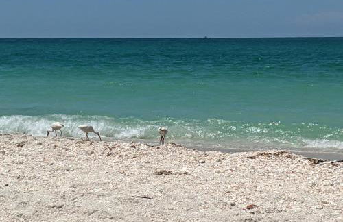 Casey Key 1-Bedroom Courtyard Villa - Foto 17