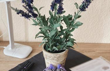 Pension Lavendel - Foto 34