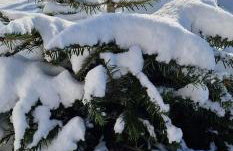 Zimna Apartments - Foto 35