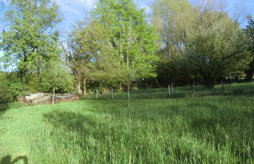 Ferienhaus Altes Backhaus - Foto 29