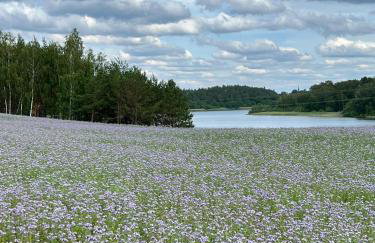 Casa Kashubia - Kaszuby Domek nad jeziorem I cisza natura i luksus - Foto 58
