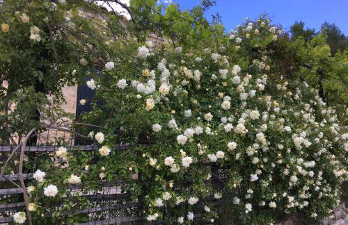 Les Genêts - Foto 25