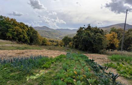 Ca' d'Alfieri - Photo 35