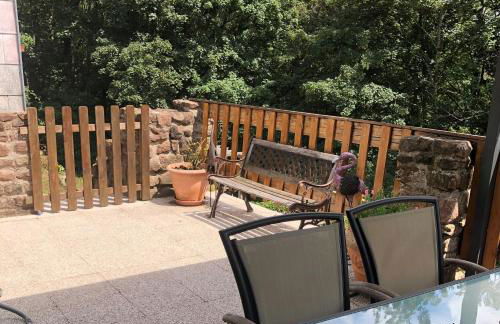 Le Petit Biscuit - Photo 5