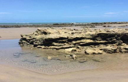 Chalés Mahalo J - Pontal de Maceió - Fortim - Foto 79