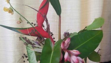 Vila Engawa Flats - Foto 4