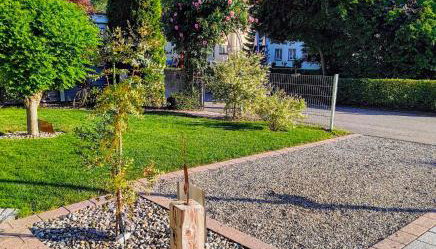 Haus Auryn - Photo 4