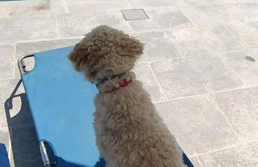 Cascina Formighezzo - Foto 11