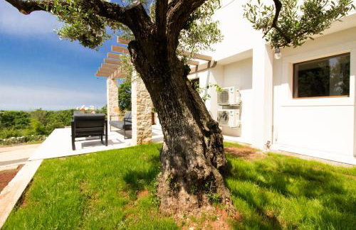 Beautiful villa Irma with private pool near Rovinj by WiiBuk - Foto 2