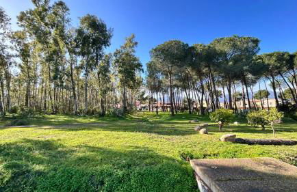 Casa L'Ulivo - Foto 30