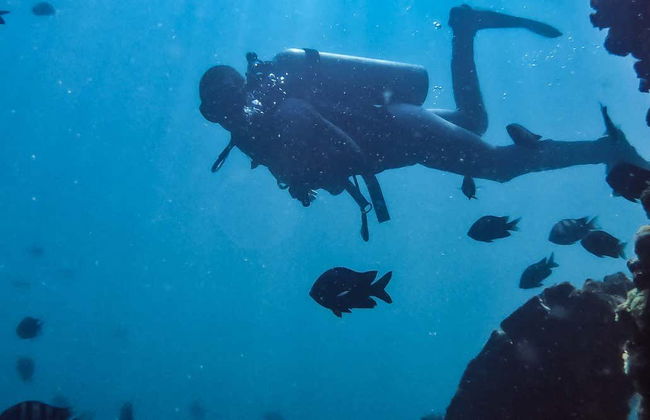 Diving in San Bartolo - Foto 1