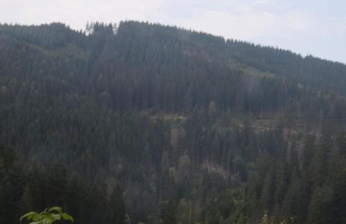 Charmantes Dachgeschoss-Refugium, Harz - Foto 31