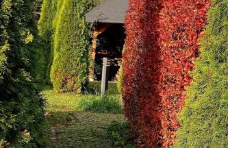 Domek Regionalny- bliźniak - Foto 34