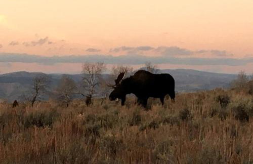 Pet-Friendly Yurt for an Off-the-Grid Getaway near Hyrum, Utah - Foto 11