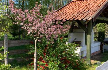 Dom w Sąpach - Foto 72