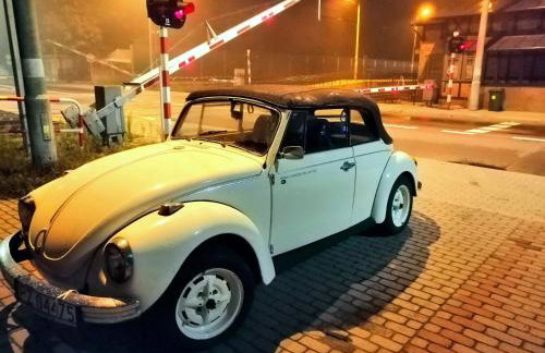 Art Apartament Puszczykowo - Foto 19