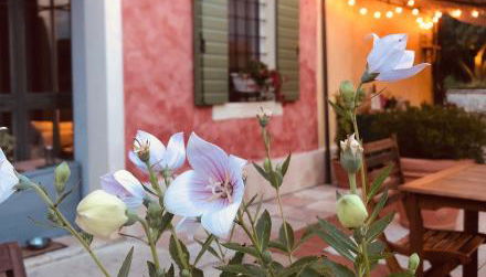 A casa di Hugo - Relais Valpolicella - Photo 5