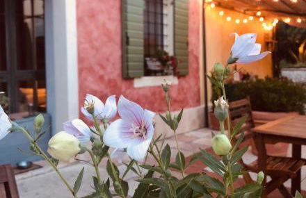 A casa di Hugo - Relais Valpolicella - Photo 5