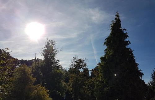 Reichstädter Ferienidyll - Foto 12