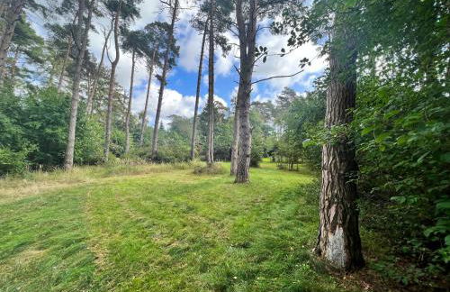 Ferienhäuser Insel Usedom Waldhaus 2 mit Whirlpool - Direkt am Achterwasser - Foto 14