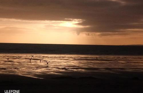 Shifty Chicken Shack - Foto 4