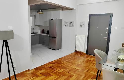 Εlite Αpartment Trikala - Foto 4