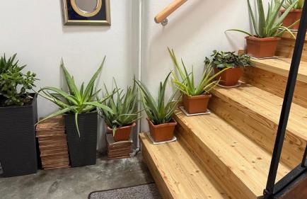 Casa E&E Appartamento moderno a Borgo Valsugana - Foto 9