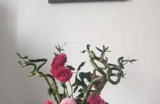 Bellavista Mantova - Foto 27