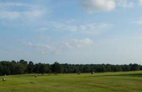 The Clover Club Yellow Rose Canyon - Foto 15