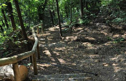 Apartman Abramović - Foto 25