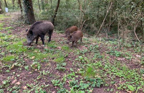 Au Coeur des Châteaux - Foto 33