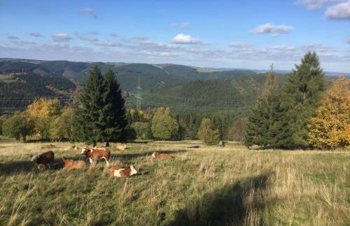 Landhaus am Rennweg - Foto 20