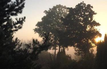 Ruda Chata Tałty - Photo 80