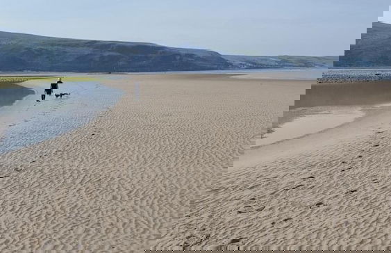 Hendre Coed Isaf - Photo 42