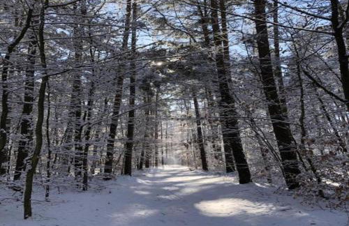 A Wooden, Eco-friendly House by the Goszcza Lake. Living Room, 2 Bedrooms - Foto 69
