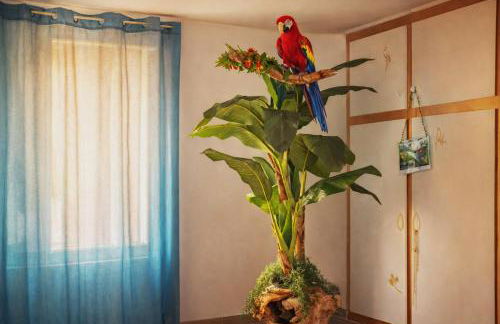 Jungle Spa - Cocon tropical et dépaysant avec balnéo en plein coeur de Pézenas ! - Foto 19