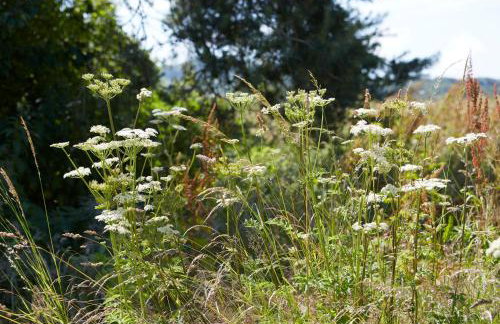 The Old Barn at Moor Farm - Foto 35