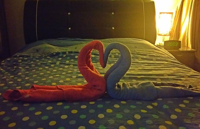 Homestay Signature Suite - Foto 26