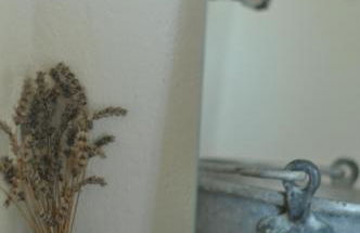 Agriturismo La Forestaria - Foto 29